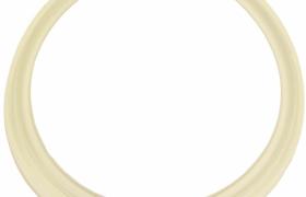 Joint de filtre ms-0068356 pour Expresso Krups